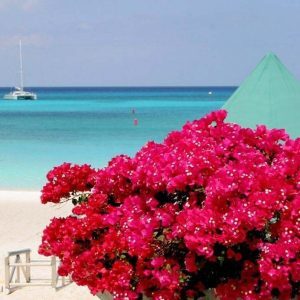 Private Jet Charter to Grand Cayman